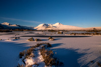 Glencoe